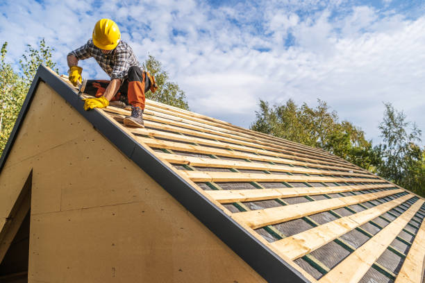 Best Roof Maintenance Services  in High Ridge, MO