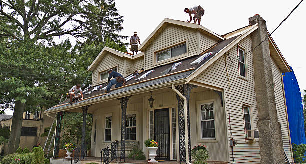 Best Metal Roofing Contractor  in High Ridge, MO